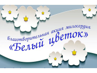 Акция "Белый цветок"