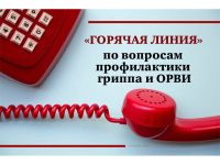 Телефон "горячей линии" 