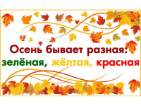 Выставка "Осення фантазия"