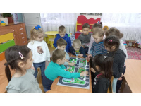 Неделя безопасности дорожного движения