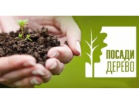 Акция "Посади свое дерево жизни"