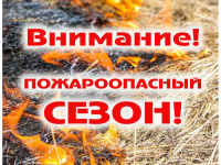 С 1 апреля установлен пожароопасный сезон