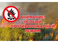 Противопожарный режим